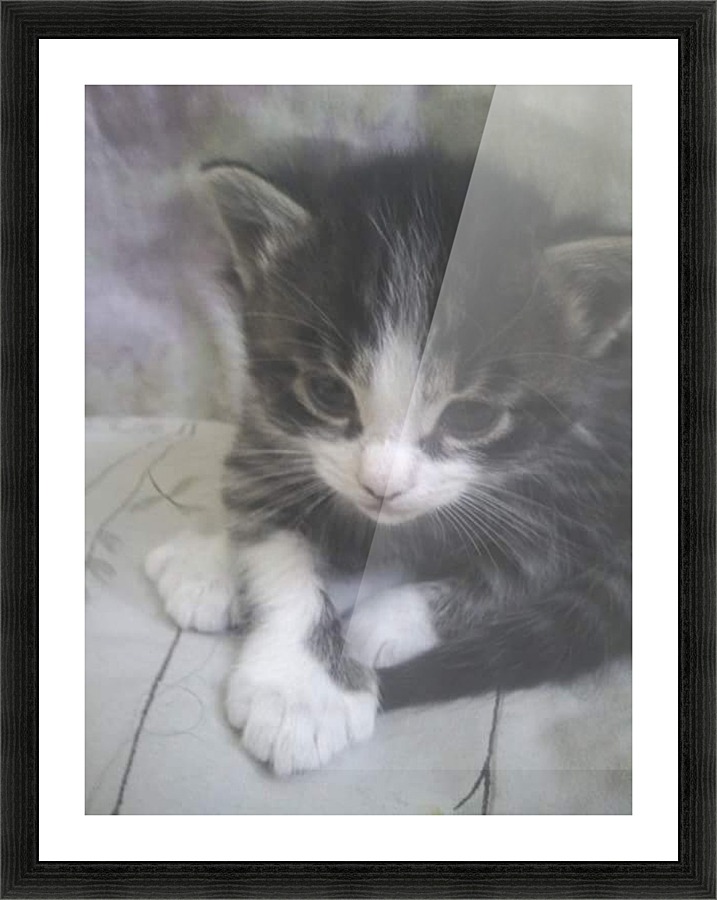  Fine Art print