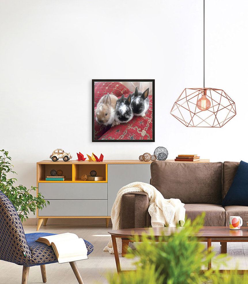Cute Bunnies Reproduction