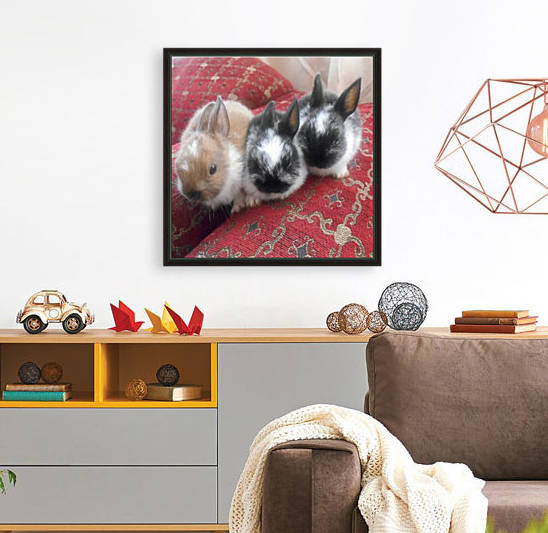 Cute Bunnies by Kayathiri Vaithilingam