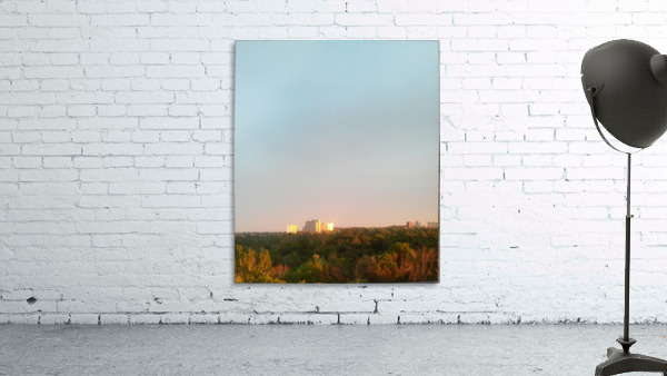 Sunset shining through the trees Wall Preview