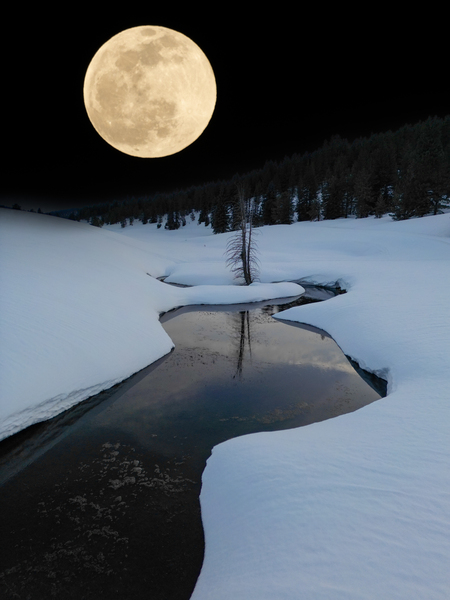 DAY MOON Digital Download