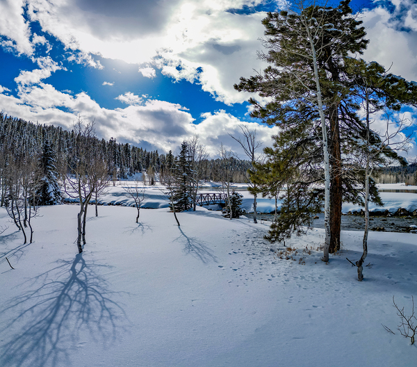 Aspen  Digital Download