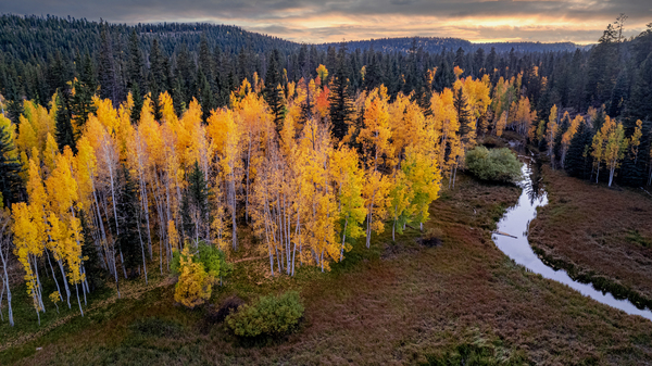 fall sunset Digital Download