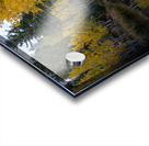 Duck creek fall Reflections Acrylic print