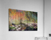 fall2023a Acrylic Print