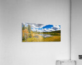 fall in nature Acrylic Print