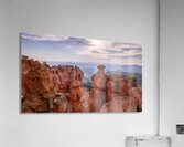 strawberry point  Acrylic Print
