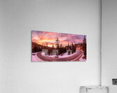 sturnatsunst Acrylic Print