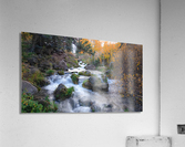 Water Fall Acrylic Print