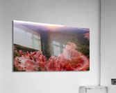 sunset over strawberry point  Acrylic Print