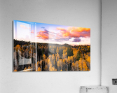 tree tops in fall Acrylic Print