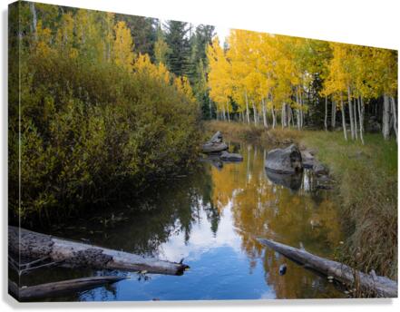 Duck Creek fall reflections  Canvas Print