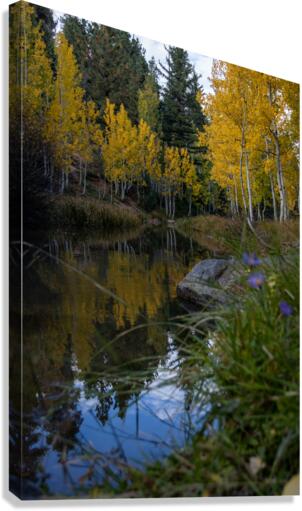 Duck creek fall Reflections Canvas Print