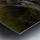 Fall Reflections Metal print