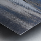 first to the pond Metal print