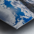 Aspen  Metal print