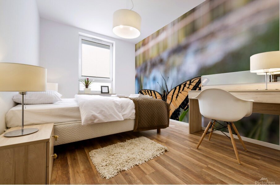 butterfly  Mural print