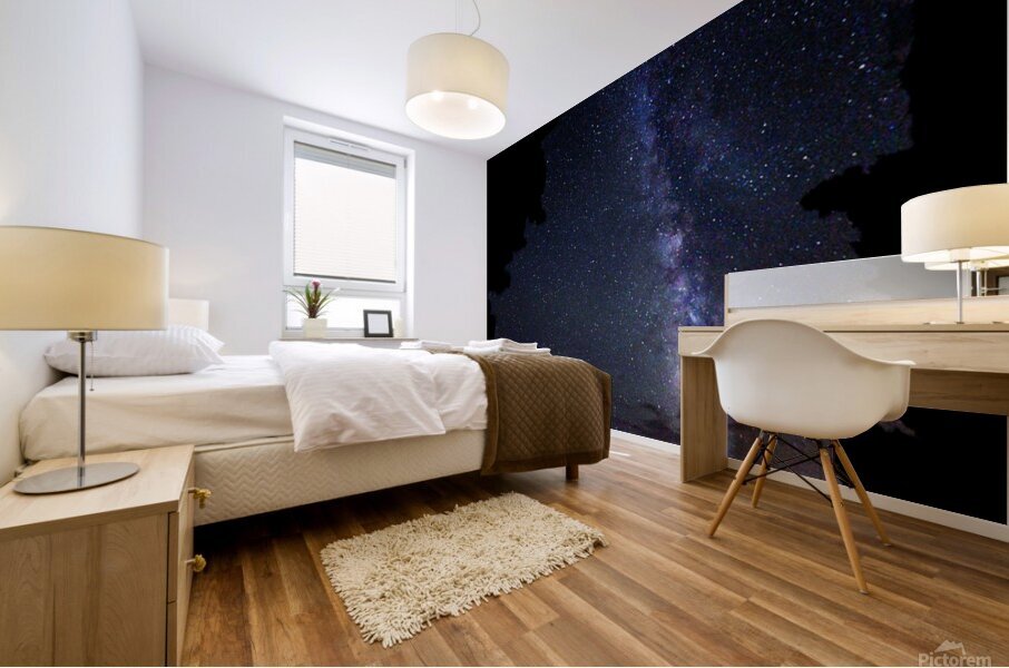 1stmilky Mural print