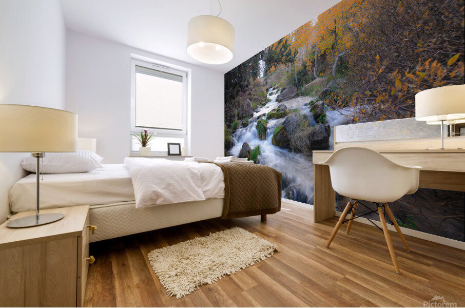 Water Fall Mural print