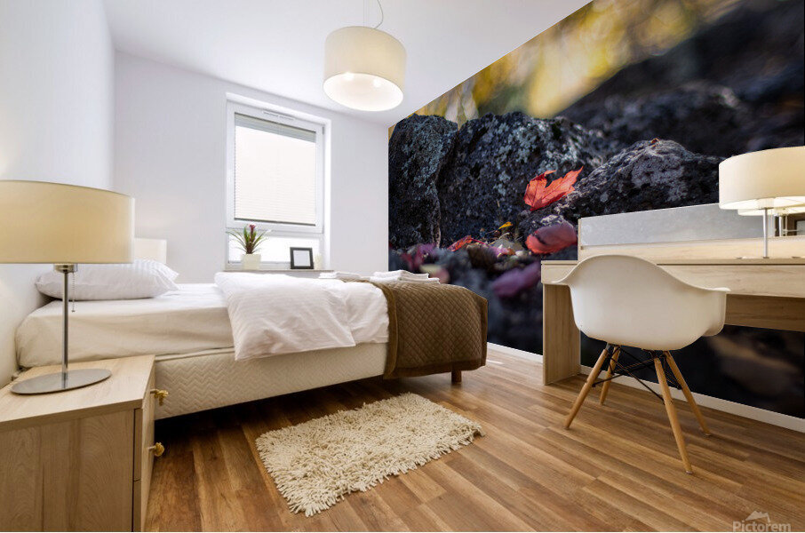 Fall Leaves Mural print