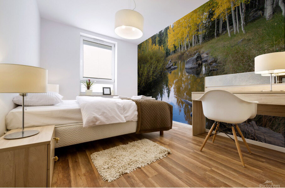 Duck Creek fall reflections  Mural print