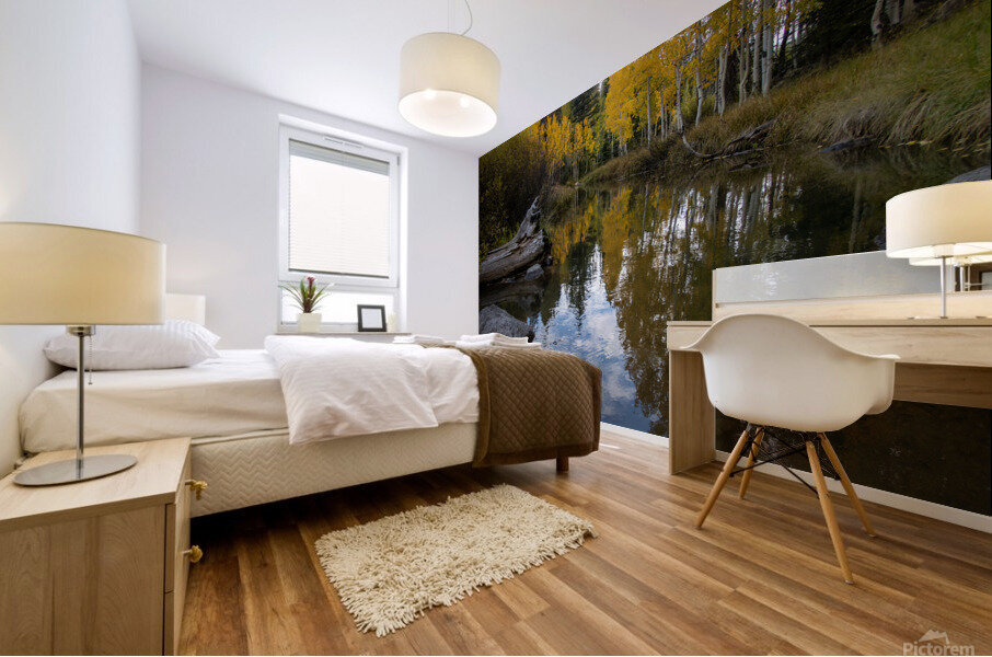 Fall Reflections Mural print
