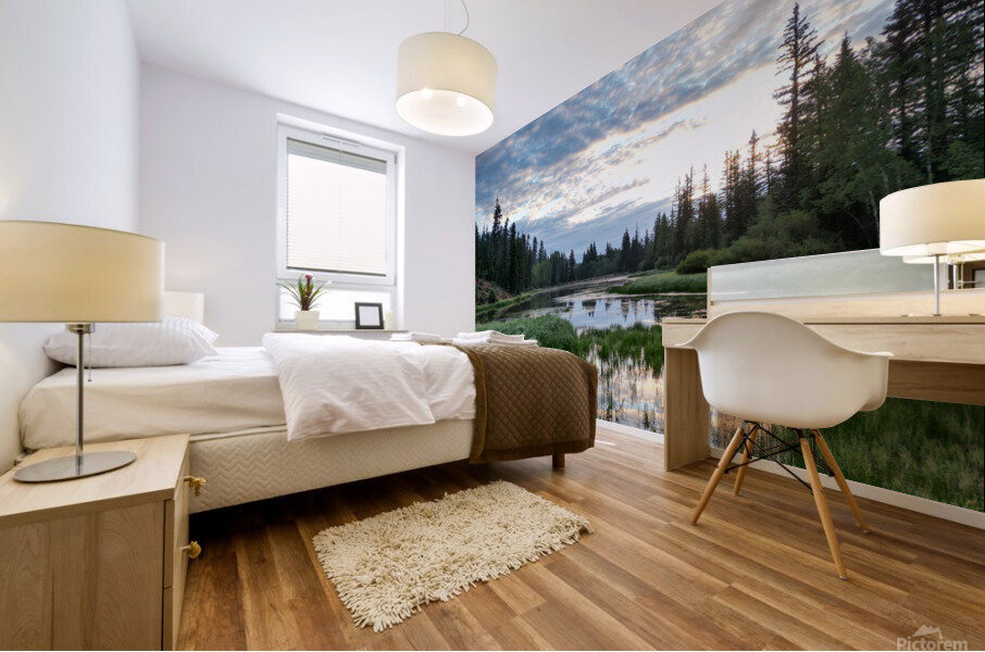 sunrise summer  Mural print