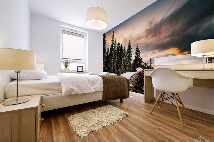 backyard fence Mural print