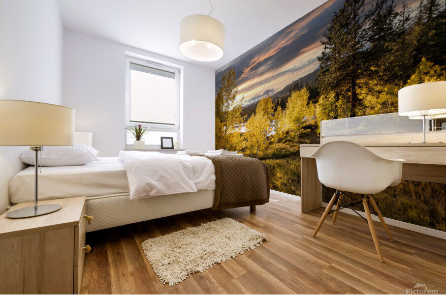 bright fall Mural print