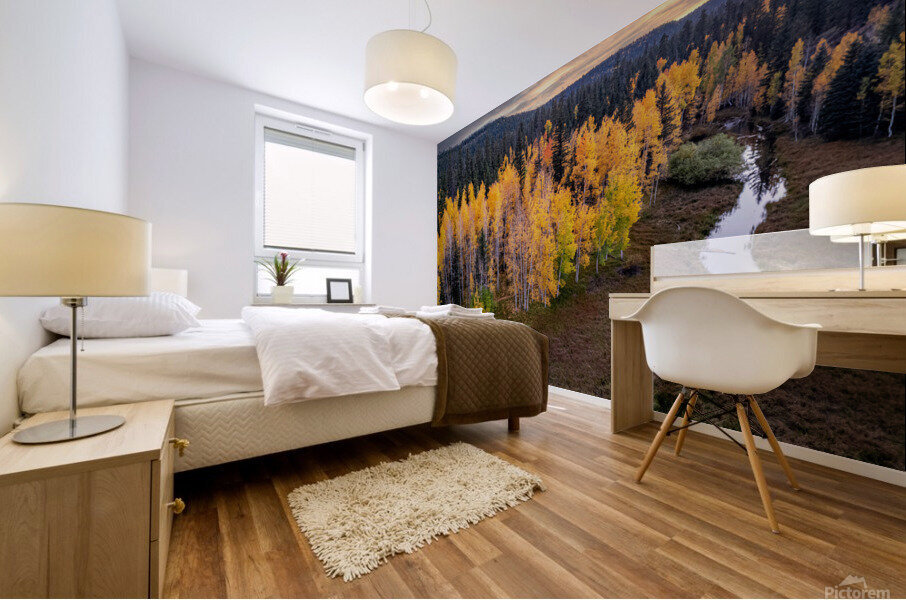 fall sunset Mural print