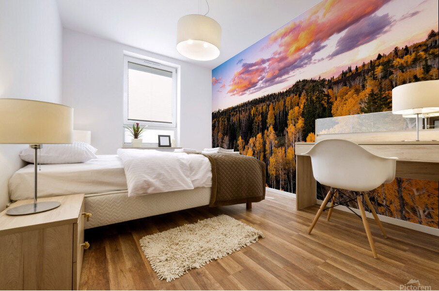 tree tops in fall Mural print