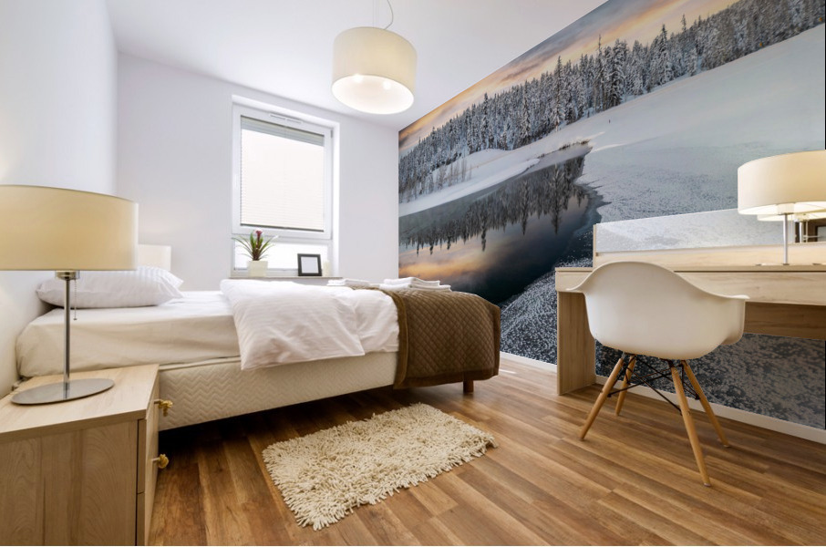 pond on fire  Mural print