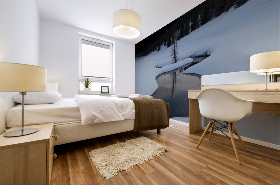 DAY MOON Mural print