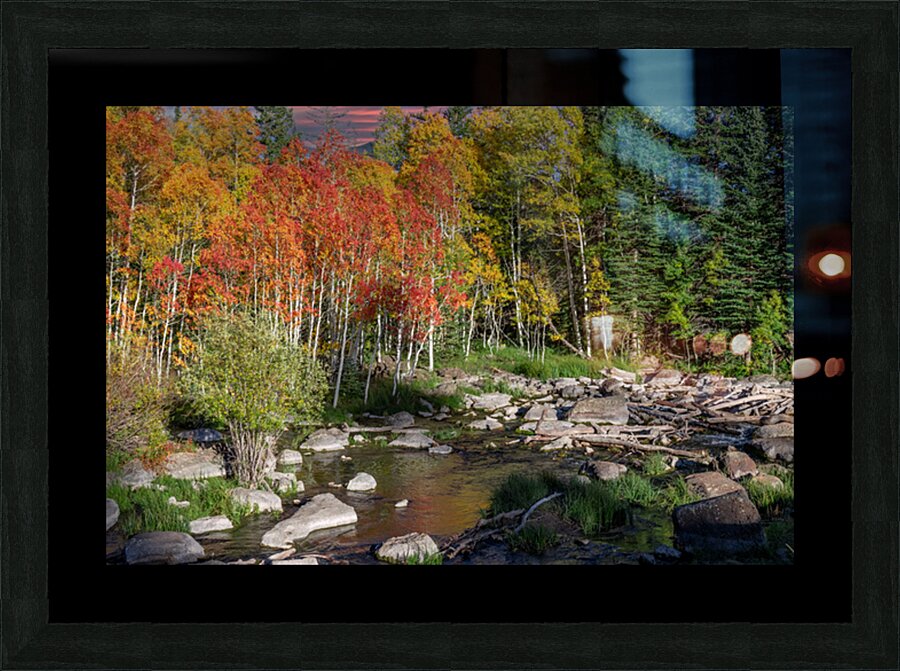 fall2023a Picture Frame print