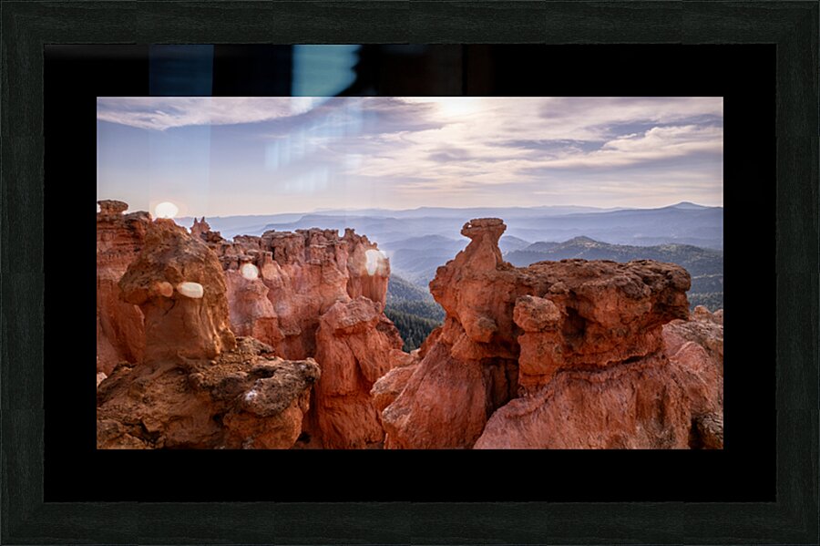 strawberry point  Picture Frame print