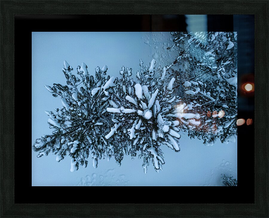 tree snow Picture Frame print