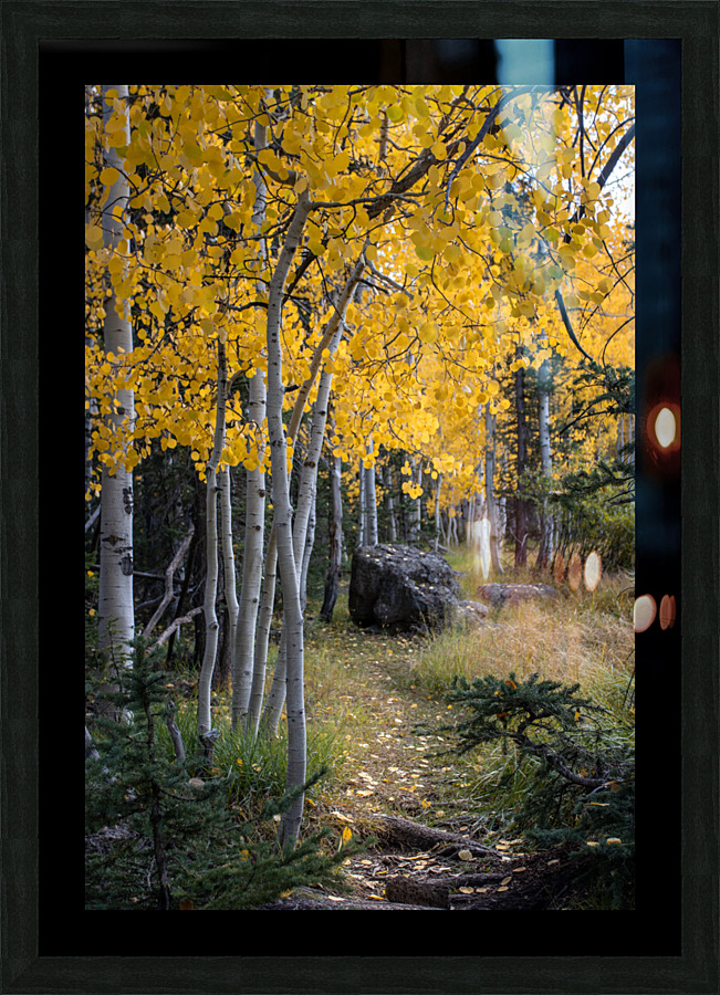 Fall paths Picture Frame print