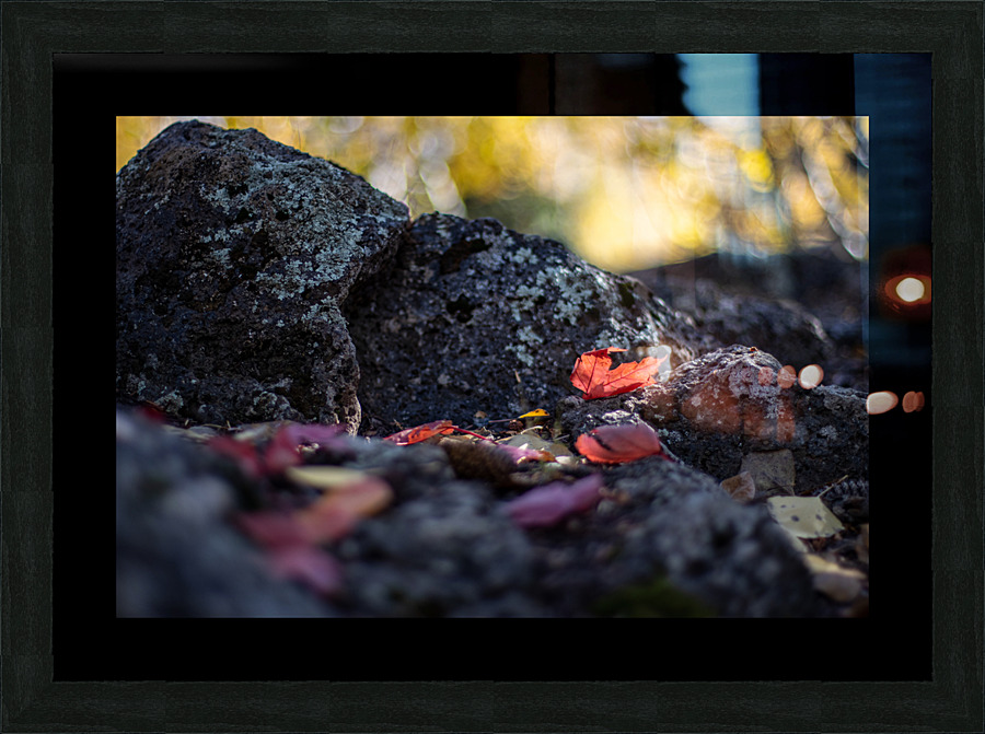 Fall Leaves Picture Frame print