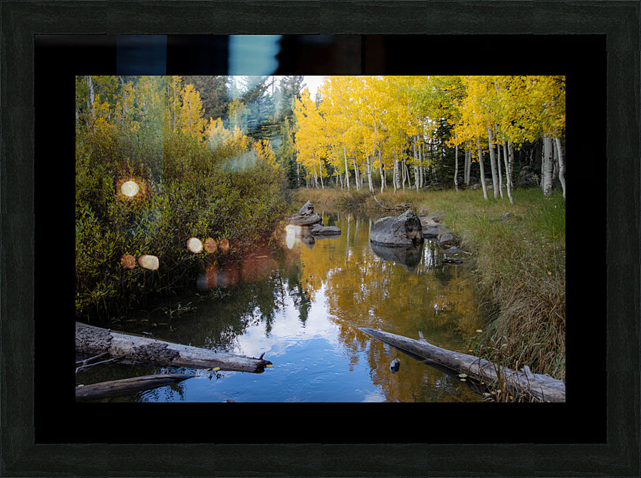 Duck Creek fall reflections  Picture Frame print