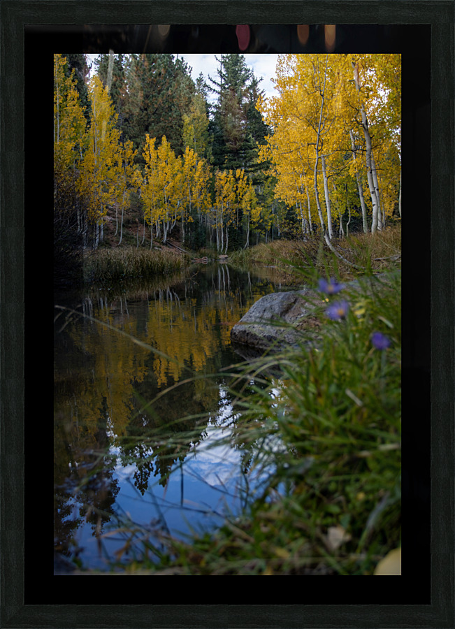 Duck creek fall Reflections Picture Frame print