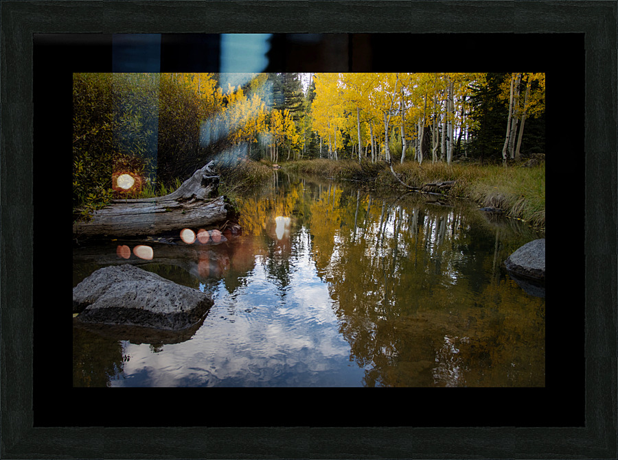Fall Reflections Picture Frame print