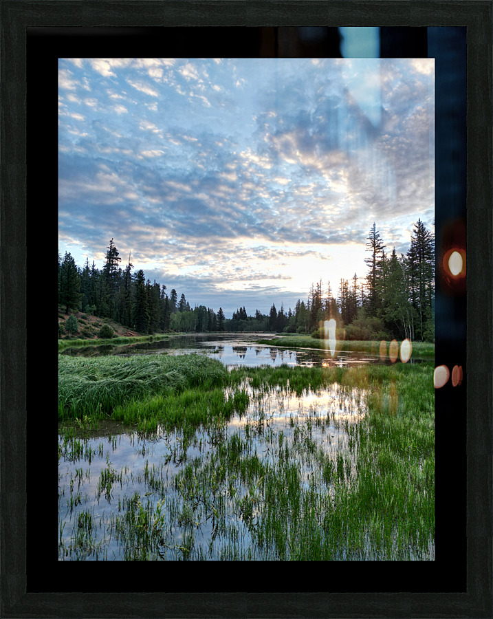 sunrise summer  Picture Frame print