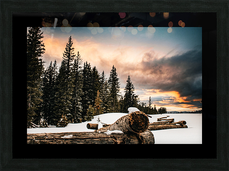 backyard fence Picture Frame print
