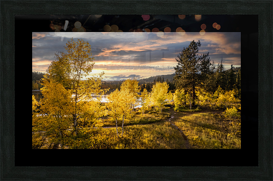 bright fall Picture Frame print