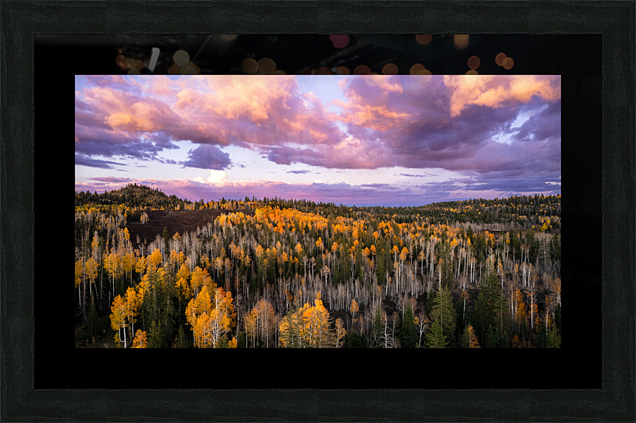 fall storms Picture Frame print
