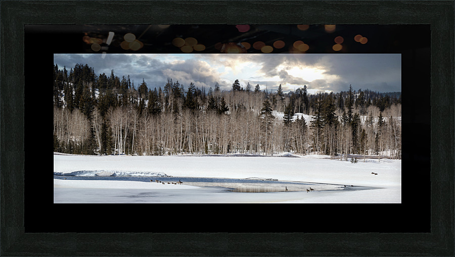 springthawdcpond Picture Frame print