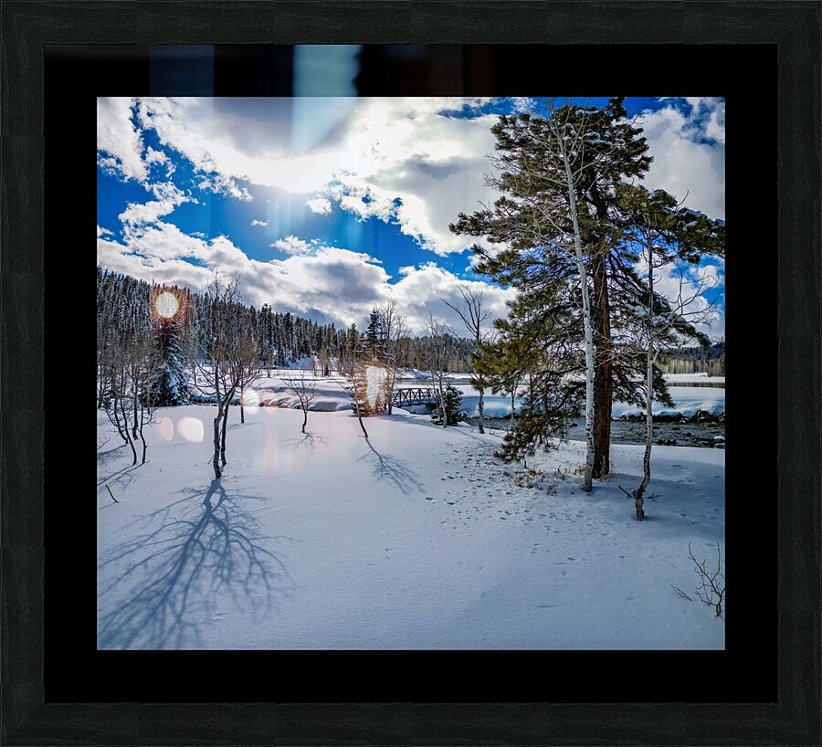 Aspen  Picture Frame print