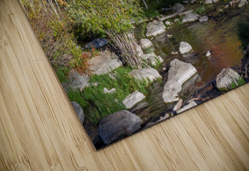 fall2023a Photo Mahler puzzle