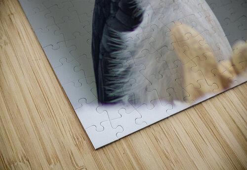 Pecker Photo Mahler puzzle