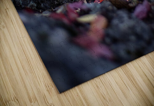 Fall Leaves Photo Mahler puzzle